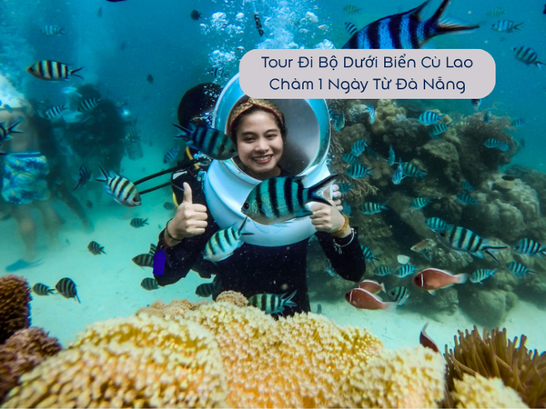 Tour Đi Bộ Dưới Biển Cù Lao Chàm 1 Ngày Từ Đà Nẵng