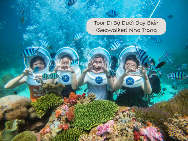 Tour Đi Bộ Dưới Đáy Biển (Seawalker) Nha Trang