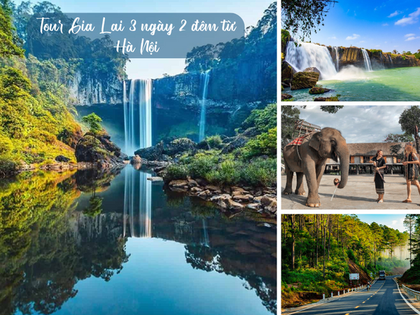 Tour Gia Lai 3 ngày 2 đêm từ Hà Nội