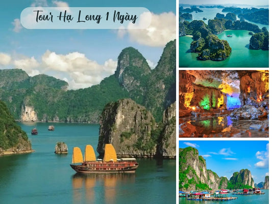 Tour Hạ Long 1 Ngày