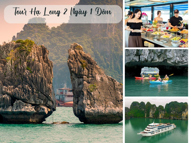 Tour Hạ Long 2 Ngày 1 Đêm