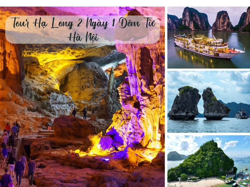 Tour Hạ Long 2 Ngày 1 Đêm Từ Hà Nội