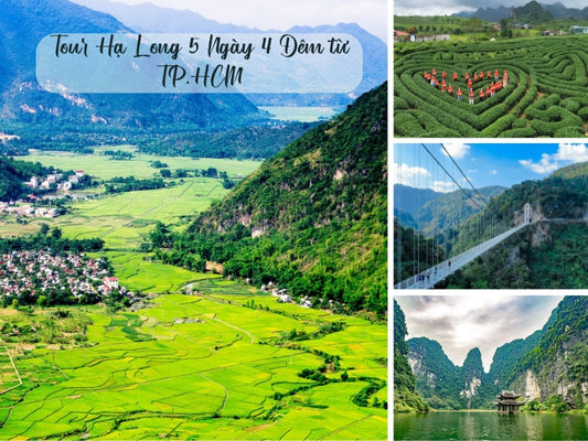 Tour Hạ Long 5 Ngày 4 Đêm từ TP. HCM