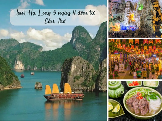 Tour Hạ Long 5 ngày 4 đêm từ Cần Thơ