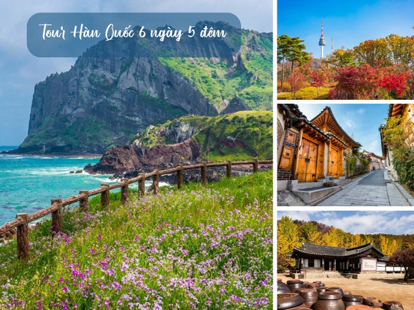 Tour Hàn Quốc 6 ngày 5 đêm