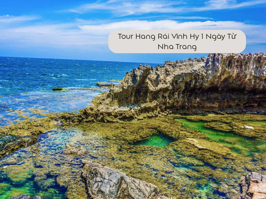 Tour Hang Rái Vĩnh Hy 1 Ngày Từ Nha Trang