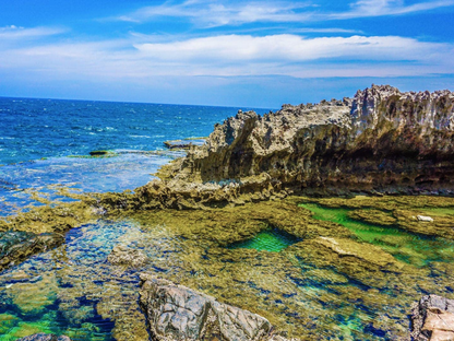 Tour Riêng (Private Tour) Thiết Kế Theo Yêu Cầu 1 Ngày Từ Nha Trang