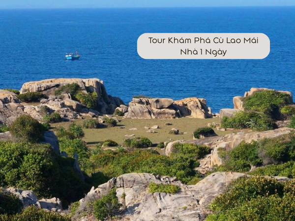 Tour Khám phá Cù Lao Mái Nhà 1 ngày
