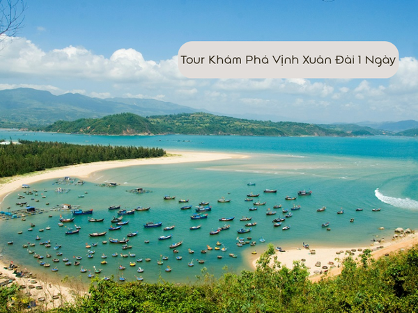 Tour Khám Phá Vịnh Xuân Đài 1 Ngày