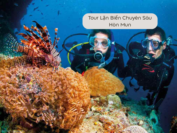 Tour Lặn Biển Chuyên Sâu tại Hòn Mun 1 Ngày