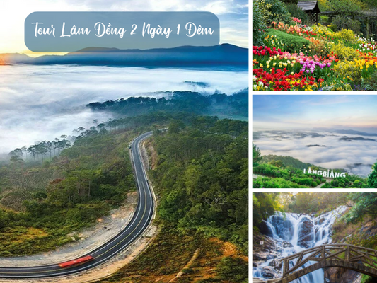 Tour Lâm Đồng 2 Ngày 1 Đêm