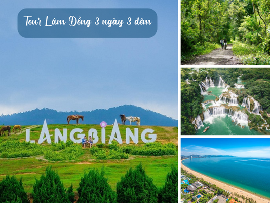 Tour Lâm Đồng 3 ngày 3 đêm