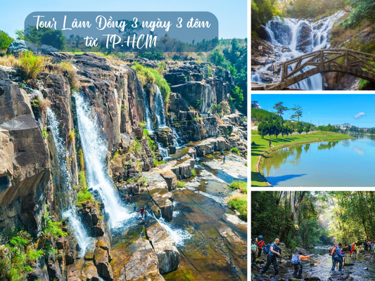 Tour Lâm Đồng 3 ngày 3 đêm từ TP.HCM