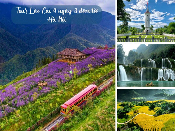 Tour Lào Cai 4 ngày 3 đêm từ Hà Nội