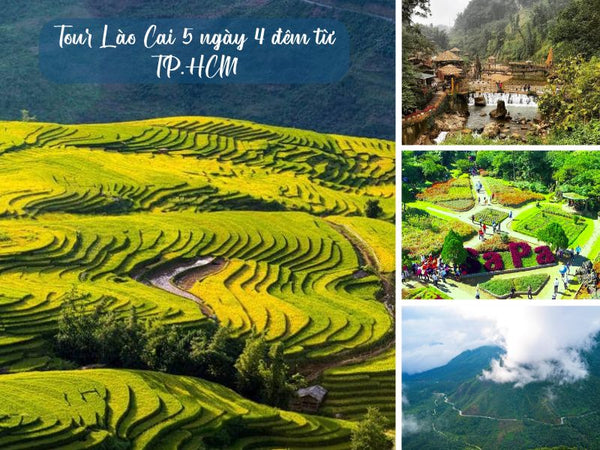 Tour Lào Cai 5 ngày 4 đêm từ TP.HCM