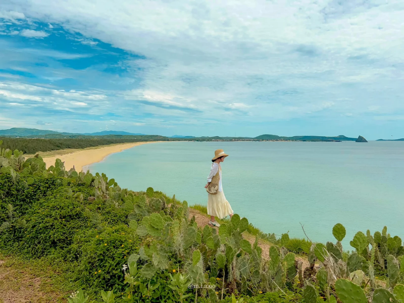 Tour Quy Nhơn - Phú Yên 1 Ngày