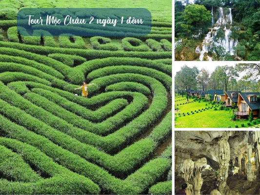 Tour Mộc Châu 2 ngày 1 đêm