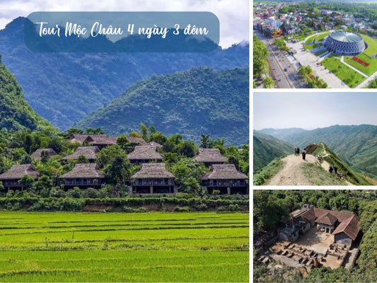 tour Mộc Châu 4 ngày 3 đêm