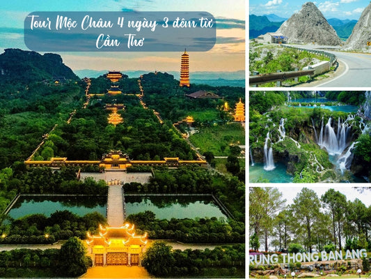 Tour Mộc Châu 4 ngày 3 đêm từ Cần Thơ