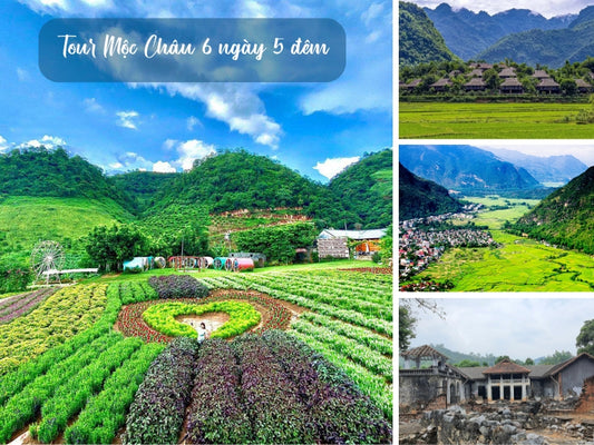 Tour Mộc Châu 6 ngày 5 đêm