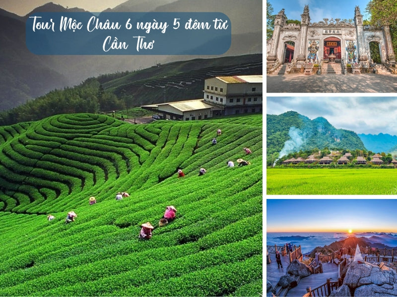 Tour Mộc Châu 6 ngày 5 đêm từ Cần Thơ