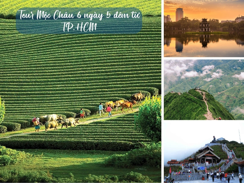 Tour Mộc Châu 6 Ngày 5 Đêm từ TP.HCM