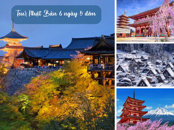 Tour Nhật Bản 6 ngày 5 đêm