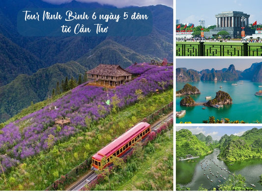 Tour Ninh Bình 6 ngày 5 đêm từ Cần Thơ