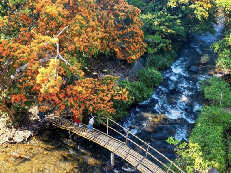 Tour Suối Tà Má Quy Nhơn 1 Ngày