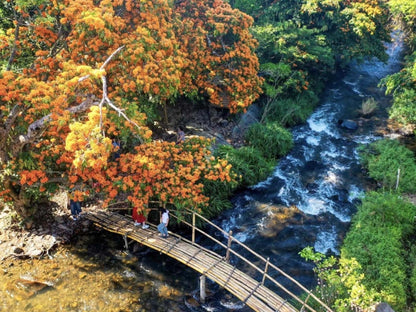 Tour Suối Tà Má Quy Nhơn 1 Ngày
