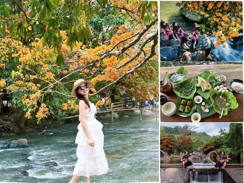 Tour Suối Tà Má Quy Nhơn 1 Ngày
