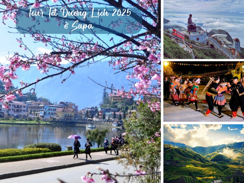 Tour Tết Dương Lịch 2025 ở Sapa