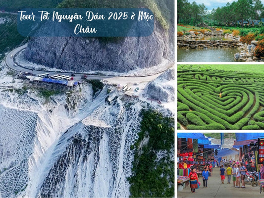 Tour Tết Nguyên Đán 2025 ở Mộc Châu