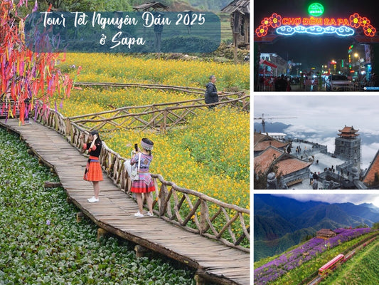 Tour Tết Nguyên Đán 2025 ở Sapa