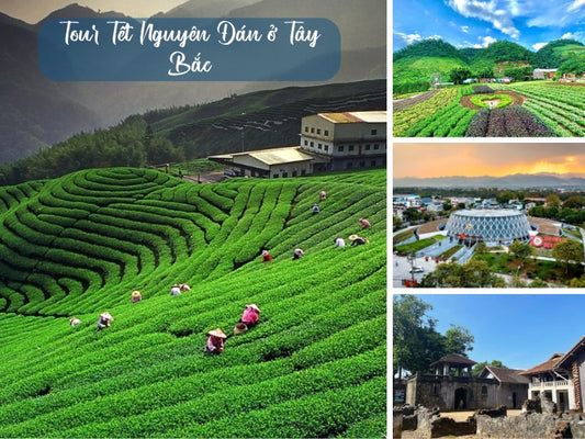 Tour Tết Nguyên Đán ở Tây Bắc