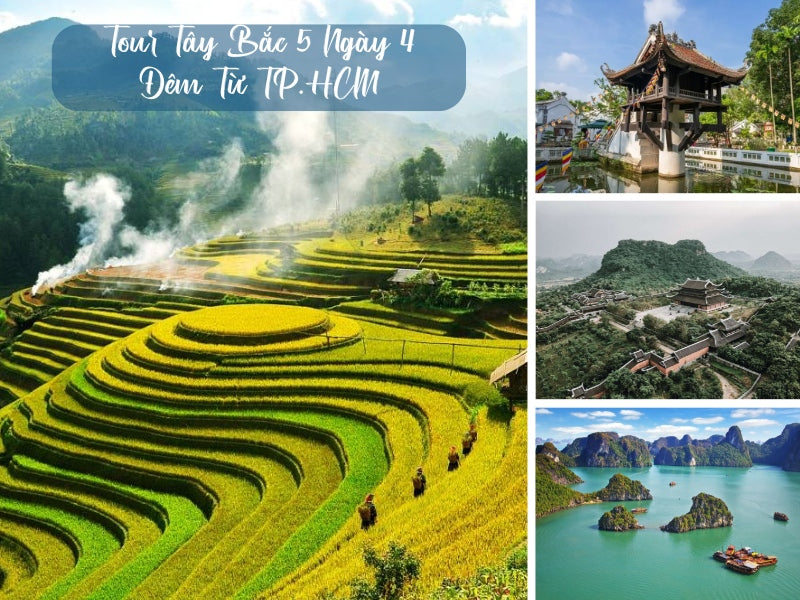 Tour Tây Bắc 5 Ngày 4 Đêm Từ TP. HCM