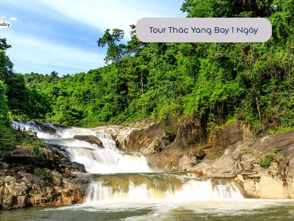 Tour Thác Yang Bay - Công Viên Của Rừng Xanh 1 Ngày Từ Nha Trang 