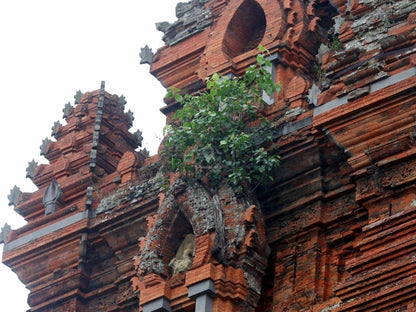 Tour Tháp Chăm Bình Định 1 Ngày