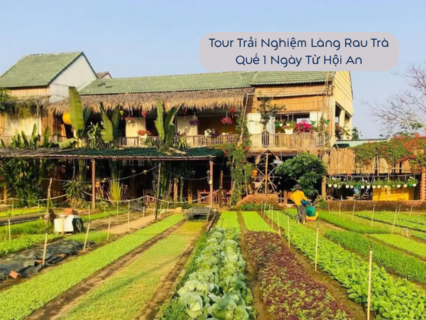 Tour Trải Nghiệm Làng Rau Trà Quế 1 Ngày