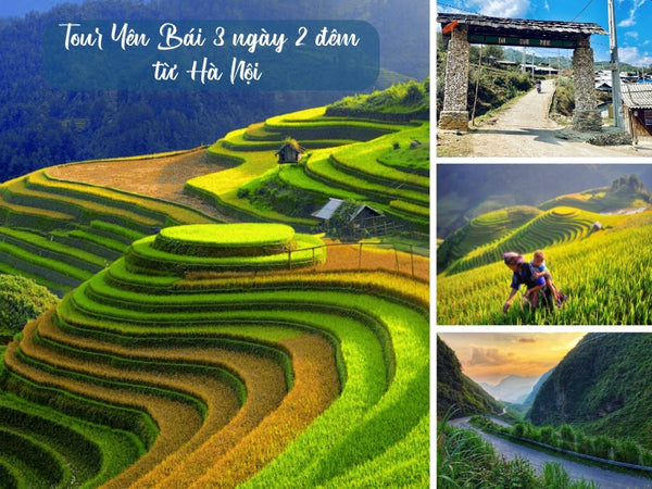 Tour Yên Bái 3 ngày 2 đêm từ Hà Nội