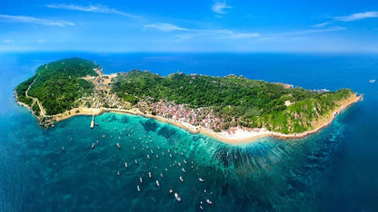Tour Cù Lao Xanh 1 Ngày