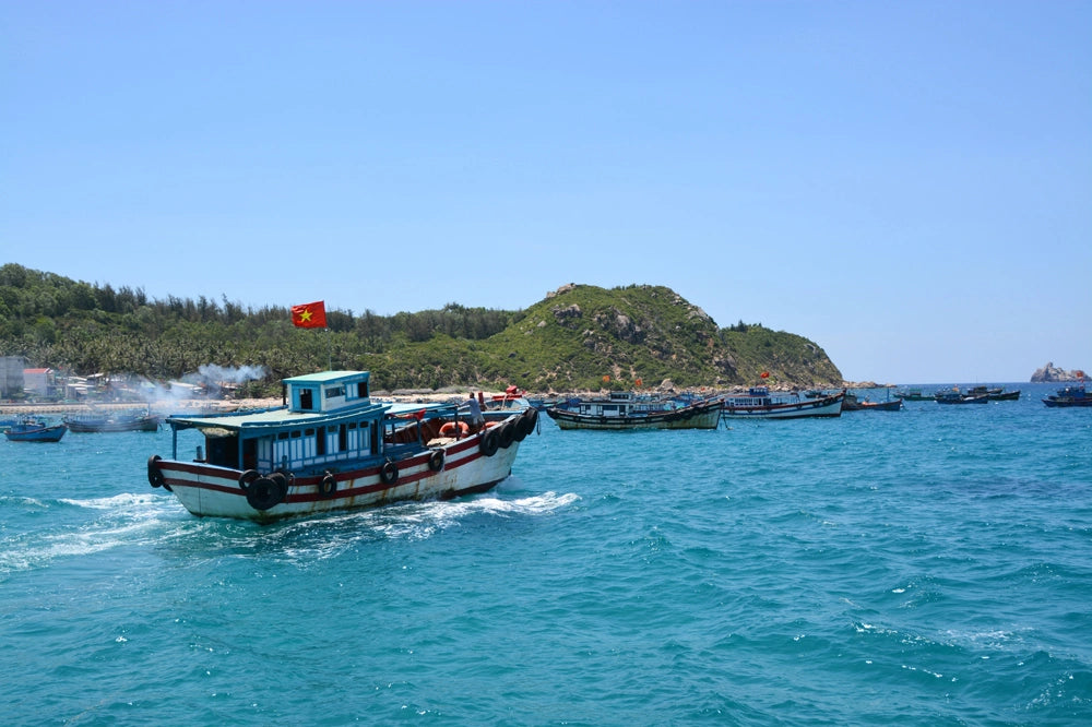 Tour Cù Lao Xanh 1 Ngày