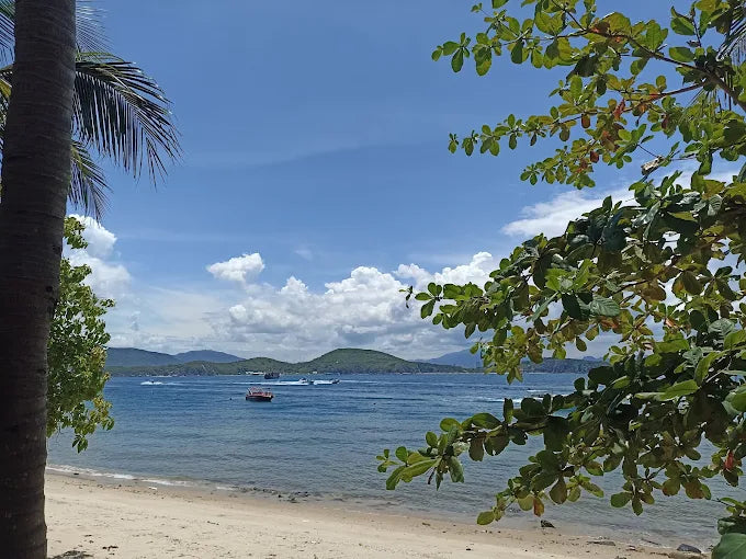 Tour 3 Đảo VIP Nha Trang 1 Ngày