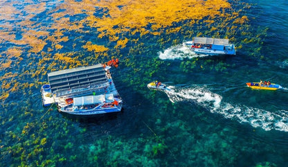 Tour Hòn Khô – Kỳ Co – Eo Gió 1 Ngày
