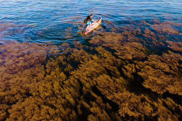 Tour Hòn Khô - Eo Gió 1 Ngày