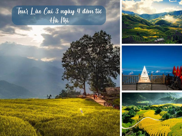 Tour Lào Cai 3 ngày 4 đêm từ Hà Nội
