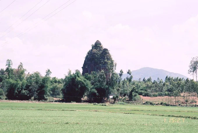 Tour Về Miền Đất Võ Tây Sơn 1 Ngày