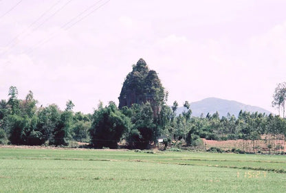 Tour Về Miền Đất Võ Tây Sơn 1 Ngày