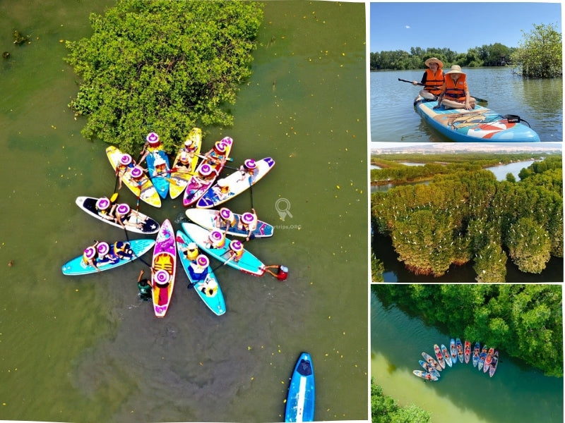 Tour Cồn Chim Chèo Sup 1 Ngày