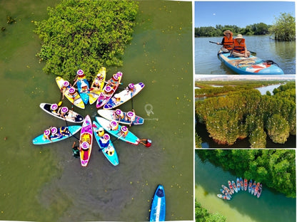 Tour Cồn Chim Chèo Sup 1 Ngày